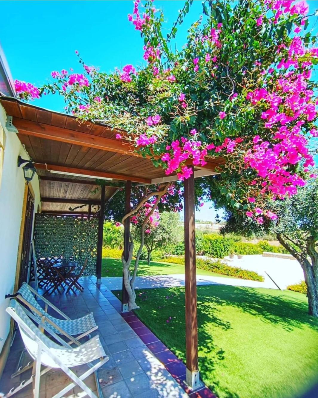B&B Estremo Sud مارزاميمي المظهر الخارجي الصورة